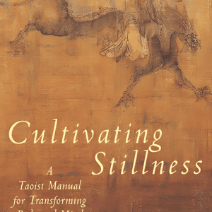 Cultivating Stillness